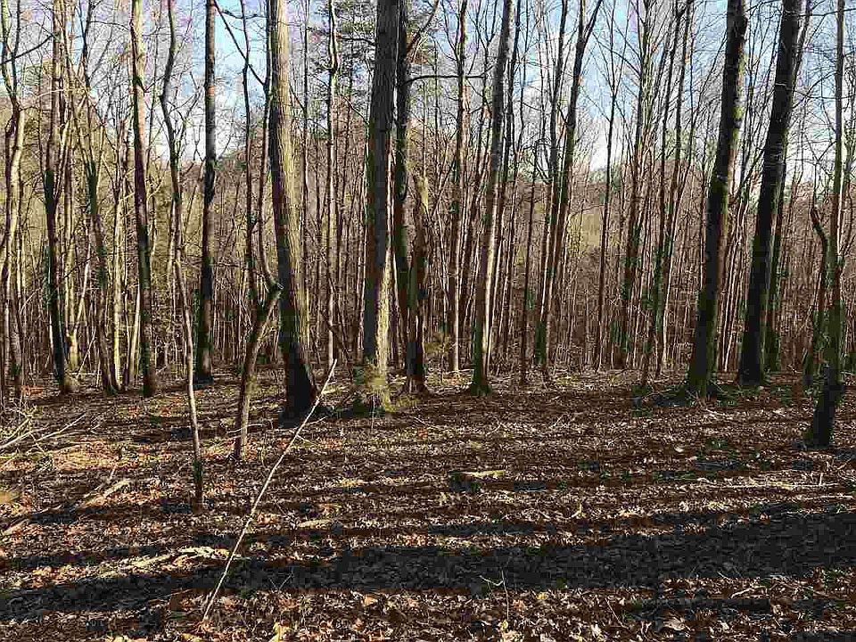 2nd image of 477 County Rd