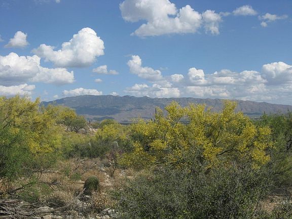 4th image of 5236 N Mesquite Canyon Pl