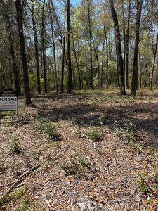 Xx Fonigan Rd, Sopchoppy, FL, 32358