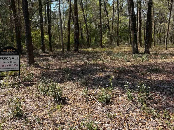 Xx Fonigan Rd, Sopchoppy, FL 32358