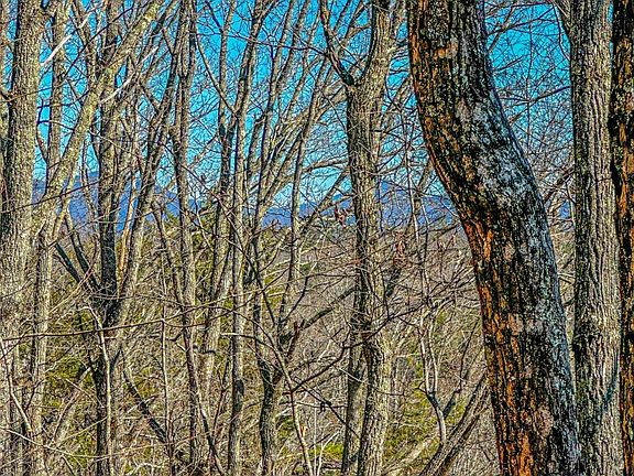 3rd image of 0 River Highlands Rd