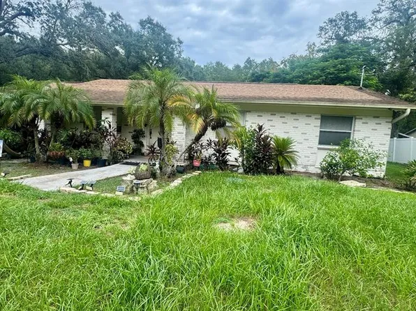 11507 N Grady Ave, Tampa, FL 33618