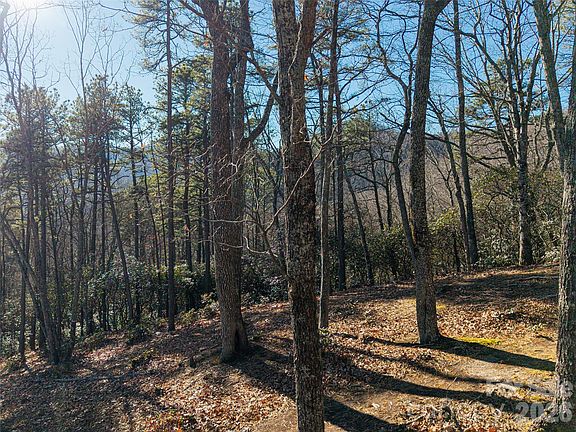 5th image of 92 Smokey Ridge Trl