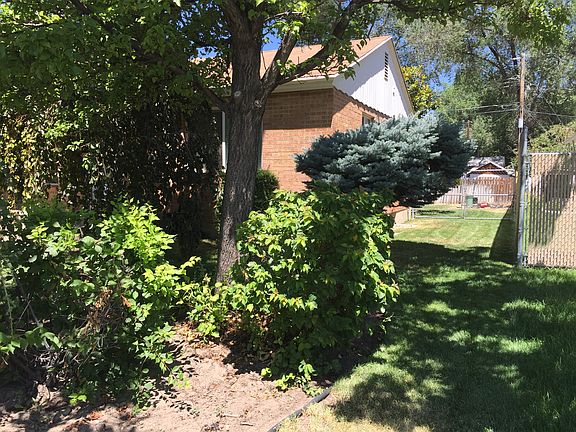 Mature Trees - Privacy
