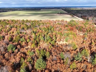 9.95 Acres 16th Avenue Lot 3, Necedah, WI, 54646