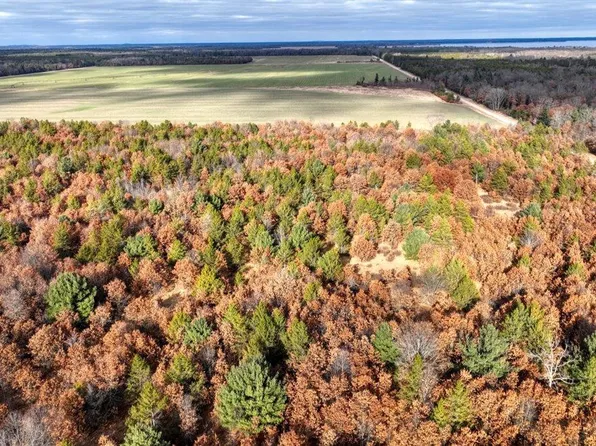 9.95 Acres 16th Avenue Lot 3, Necedah, WI 54646