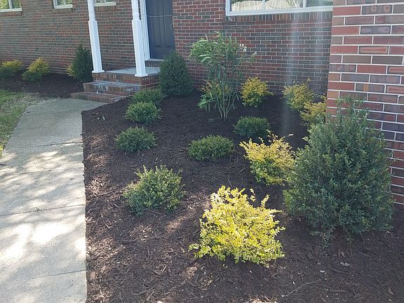 Beautiful landscaping!