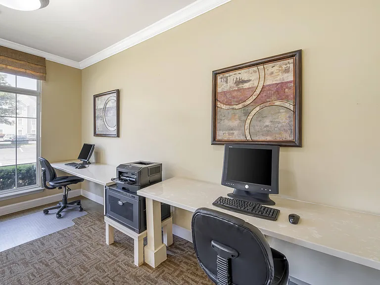 The Apartments at Wellington Trace — Photo 10