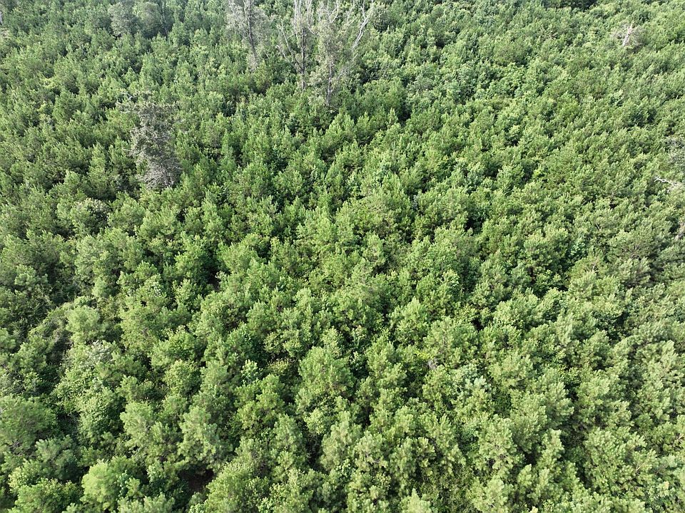 2nd image of 0 Sonnys Rd