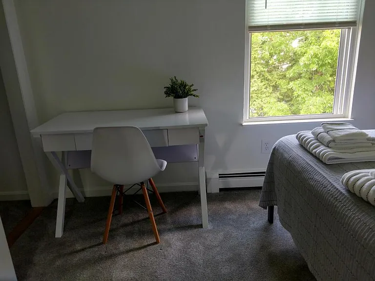 43 Carroll St #4 — Photo 5