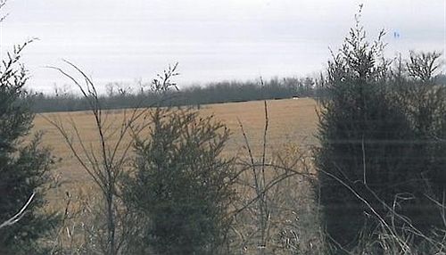 2nd image of Clyde Carnes