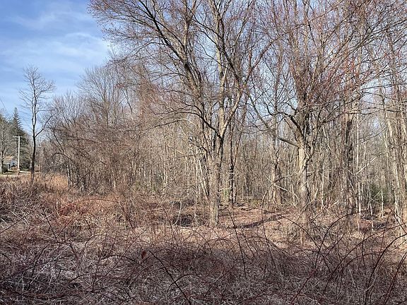 4th image of 50 Fiskdale Rd