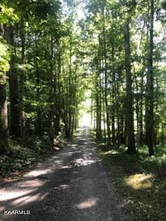 4th image of Westel Loop