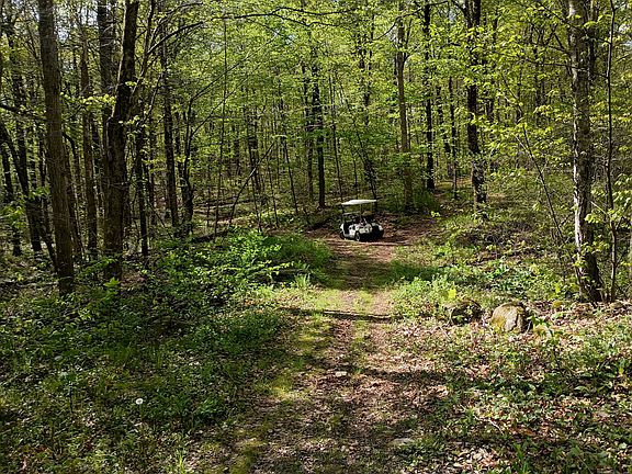 2nd image of Litchfield Road