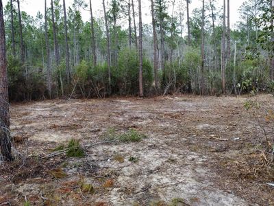 PARCEL 11 Rocky Hill Dedeaux Rd Lot 11, Kiln, MS, 39556