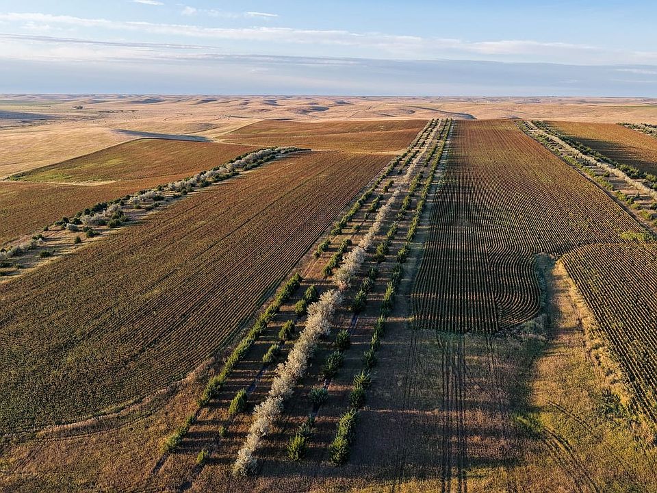 Dji Fly 20260831 063104 0805 1788199023974 Photo