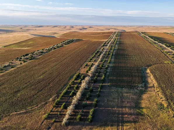 Mile Hwy #83, Vivian, SD 57576