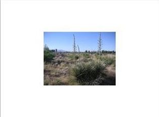 11043 Sunnybrook Ln, Socorro, TX 79927