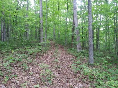Snake Hollow Rd, Sneedville, TN, 37869
