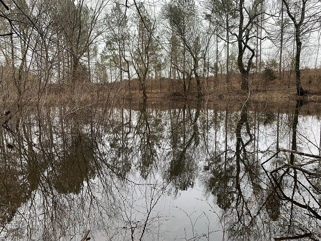 0 County Road 42, Calhoun, TN 37309 Zillow