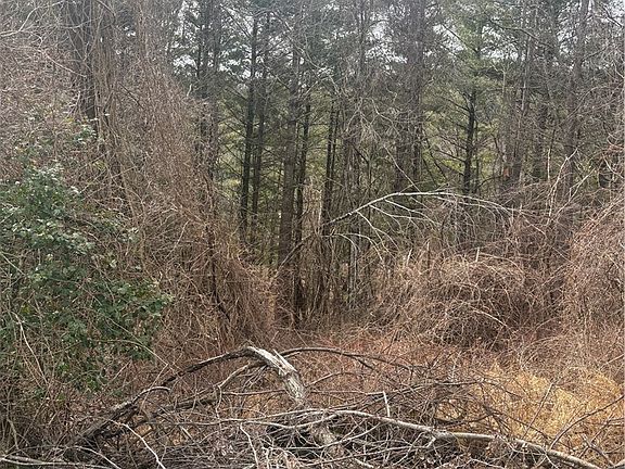 2nd image of TBD 6-K River Run Lane