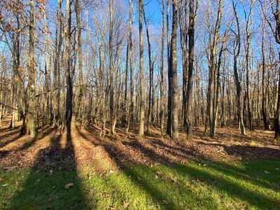 Lots 122 & 123 Goldenrod Dr, Terra Alta, WV, 26764