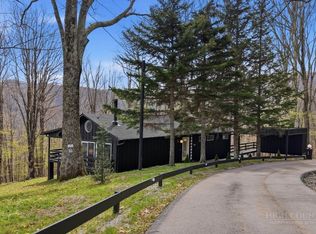 195 Log Cabin Ln, Roan Mountain, TN 37687