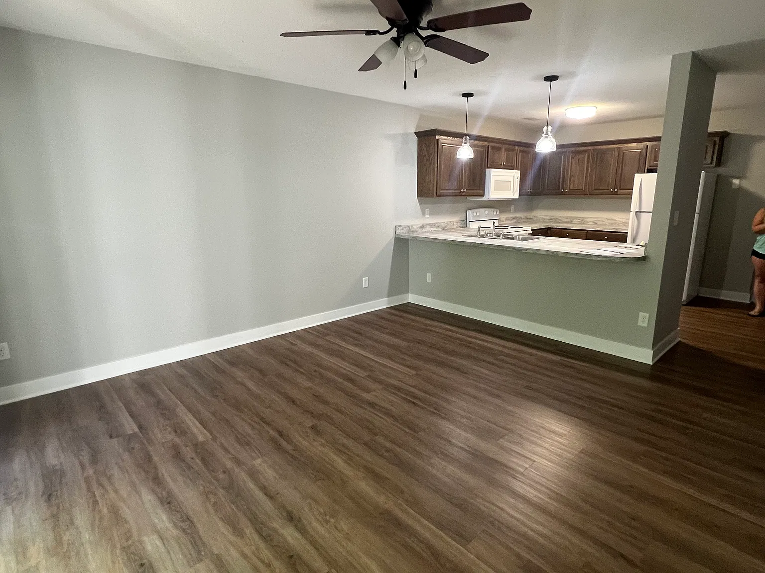 3 bed, 1000 sqft, $1,250 — Photo 2