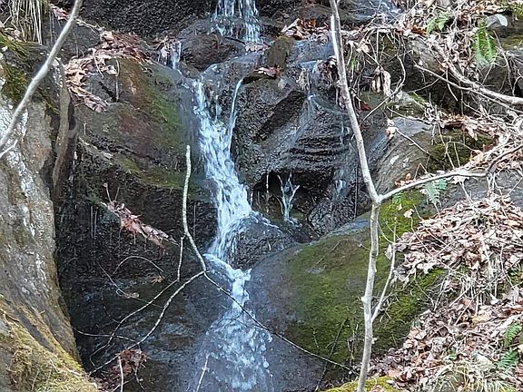 2nd image of 9999 Cindy Cove Rd