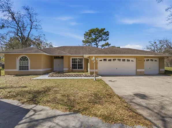 20000 Harvie Ln, Lutz, FL 33558