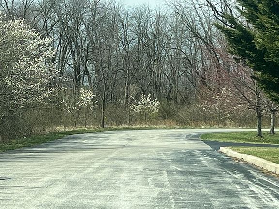 4th image of 229 Summit Dr Lot 2 Road 1