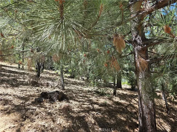 28276 Arbon Ln #202, Lake Arrowhead, CA 92352
