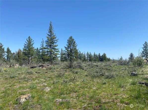 51780 E Whispering Pines Drive, Reardan, WA 99029