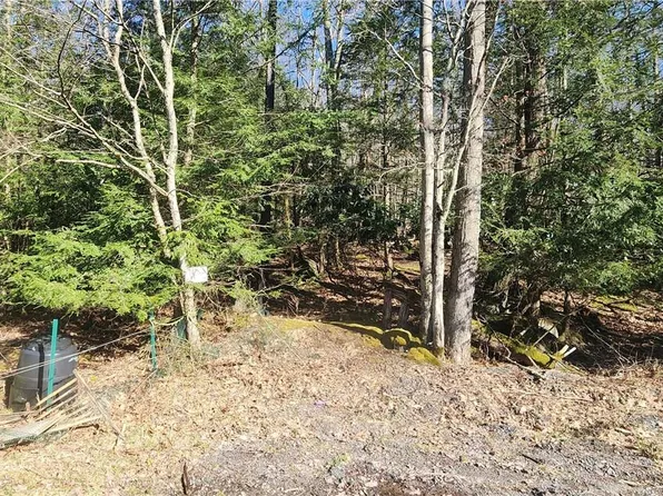 Davis Lane, Fallsburg, NY 12733