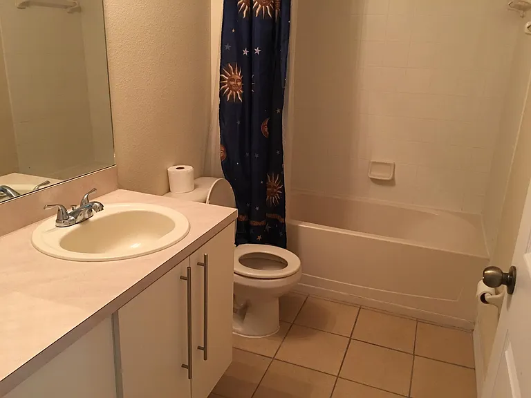 11542 Crestlake Village Dr — Photo 6