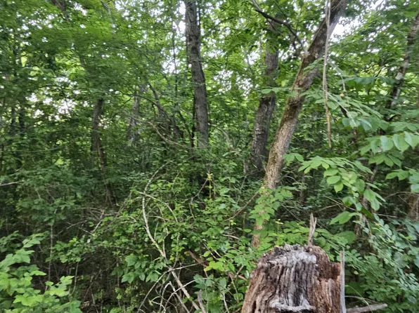 6 Tomahawk Slab Rd, Saint Joe, AR 72675