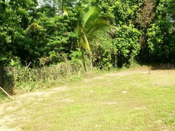 Cuesta, Humacao, PR 00791