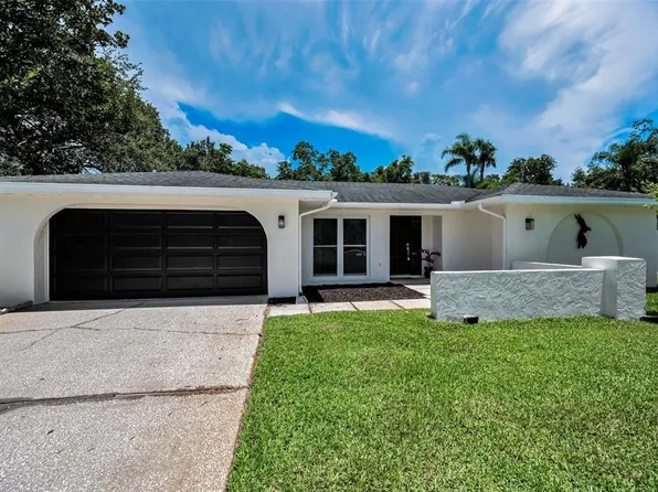 3411 Glossy Ibis Ct, Palm Harbor, FL 34683