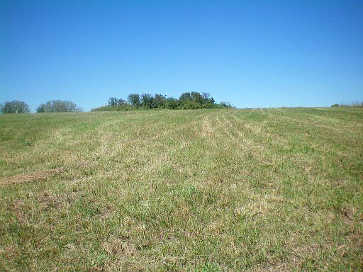 1st image of 386 Highway 307 E