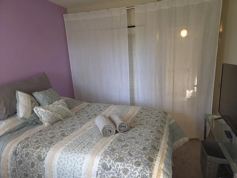 3165 Phlox Dr — Photo 4
