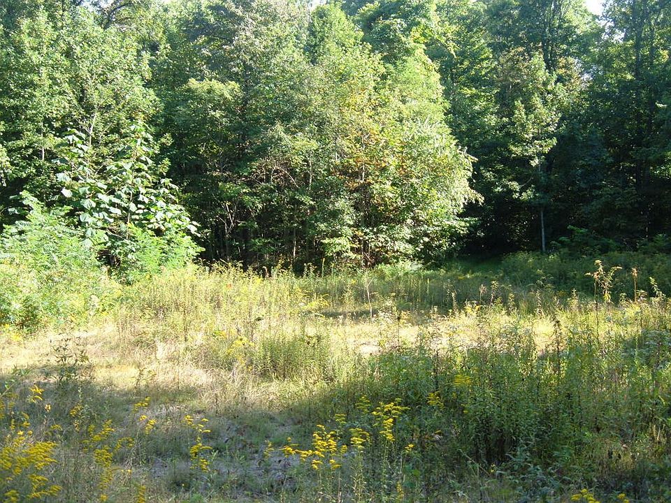 2nd image of Low Gap Rd.