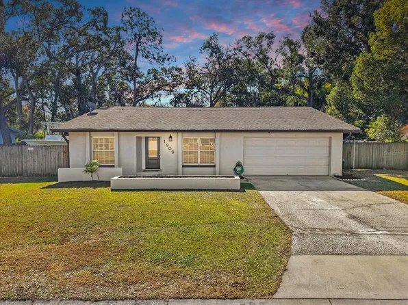 1909 Dove Field Pl, Brandon, FL 33510