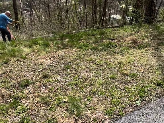 4th image of 6 Smoky View Rd Lot 6
