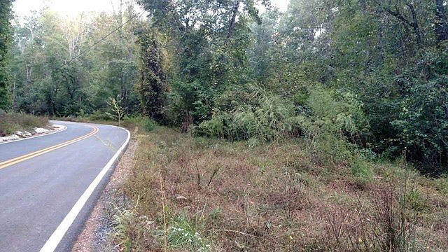 2nd image of 4 Zellner Rd