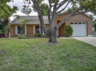 809 Cavemill Way, Tarpon Springs, FL 34689