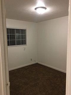 Bedroom with new carpeting, windows and blinds
