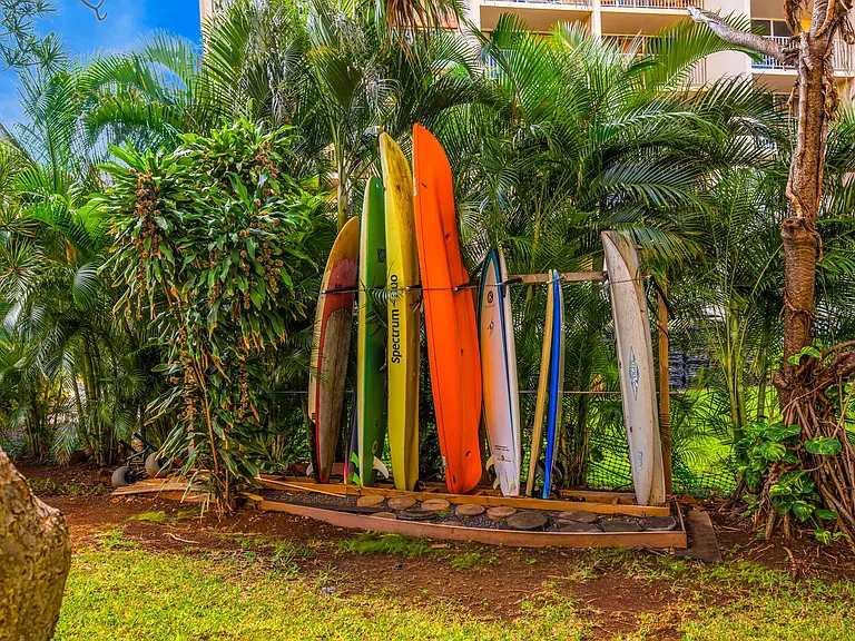 Lower Honoapiilani Rd — Photo 48