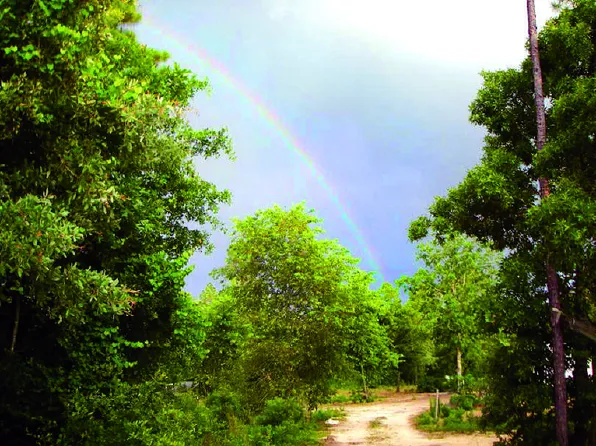 Pottery Mill Dr, Trenton, SC 29847