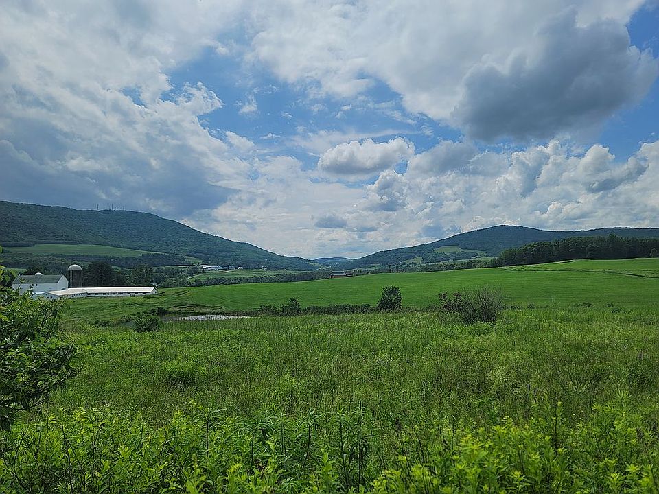 From clearing to West