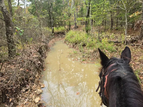 0 Water Tower Rd, Talihina, OK 74571